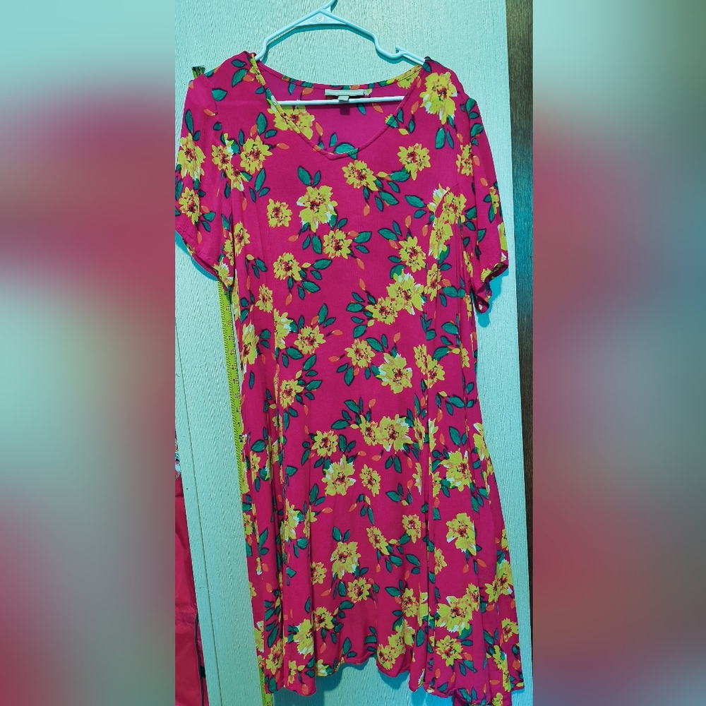 Woman Within Pink Long Floral Dress